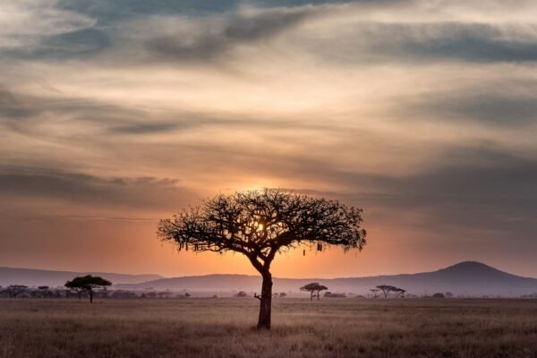 Amazon rainforest deforestation 2026 data explained