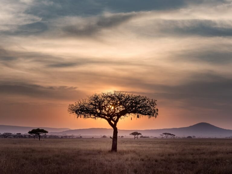 Amazon Rainforest Deforestation 2026: What the Latest Data Shows