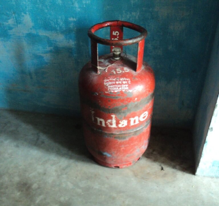 India US LPG imports 2027: Domestic Indane LPG cooking-gas cylinder photographed in Tamil Nadu, India