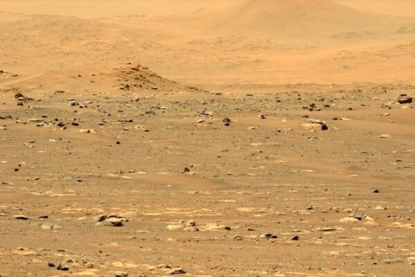 The floor of Jezero Crater on Mars photographed by NASA's Perseverance rover