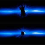 Webb Beta Pictoris d: The debris disk around the young star Beta Pictoris imaged by Hubble