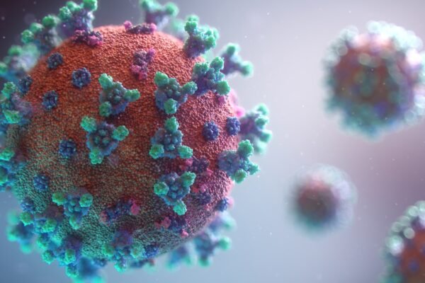 WHO pandemic accord 2026 ratification explained