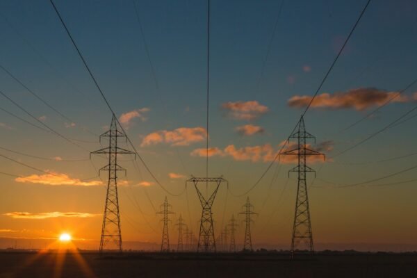 carbon credits explained: illustrative knowledge photograph