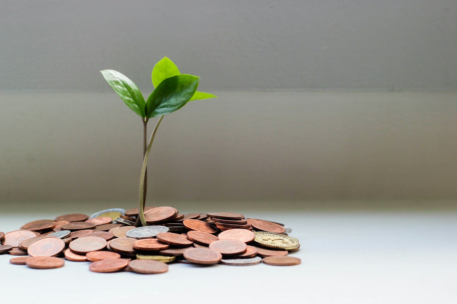 mutual fund NAV explained: illustrative knowledge photograph